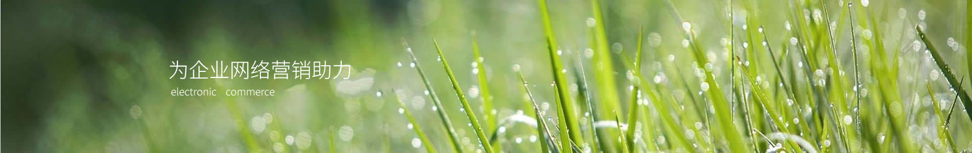 ݸʫƼ޹˾